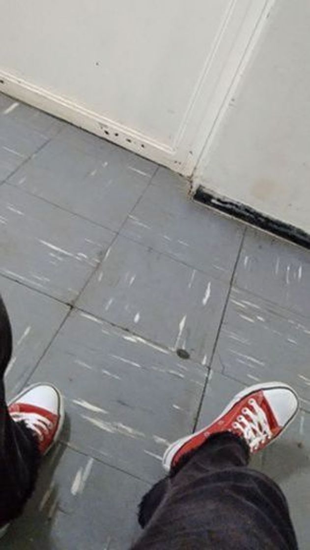 Social Converse Chuck Taylor All Star Season Ox