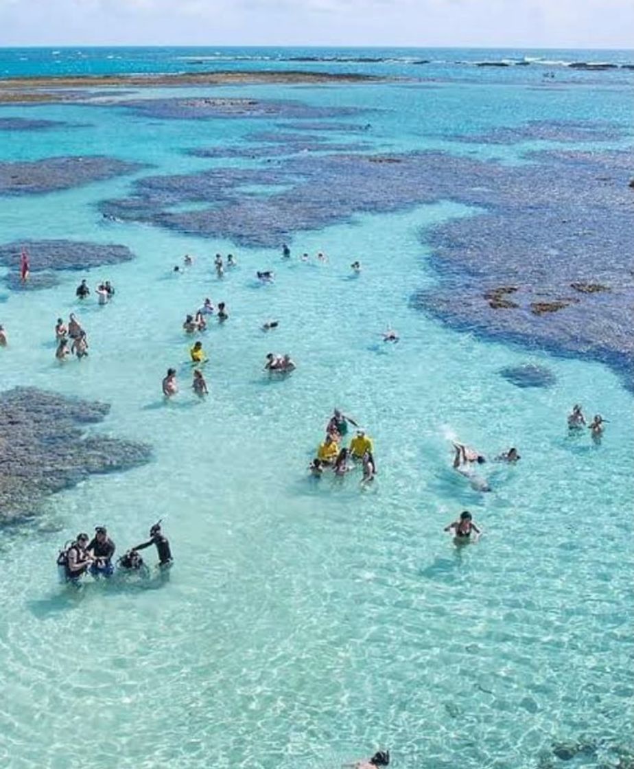 Places Paraíso nordestino Maragogi Alagoas Brasil 