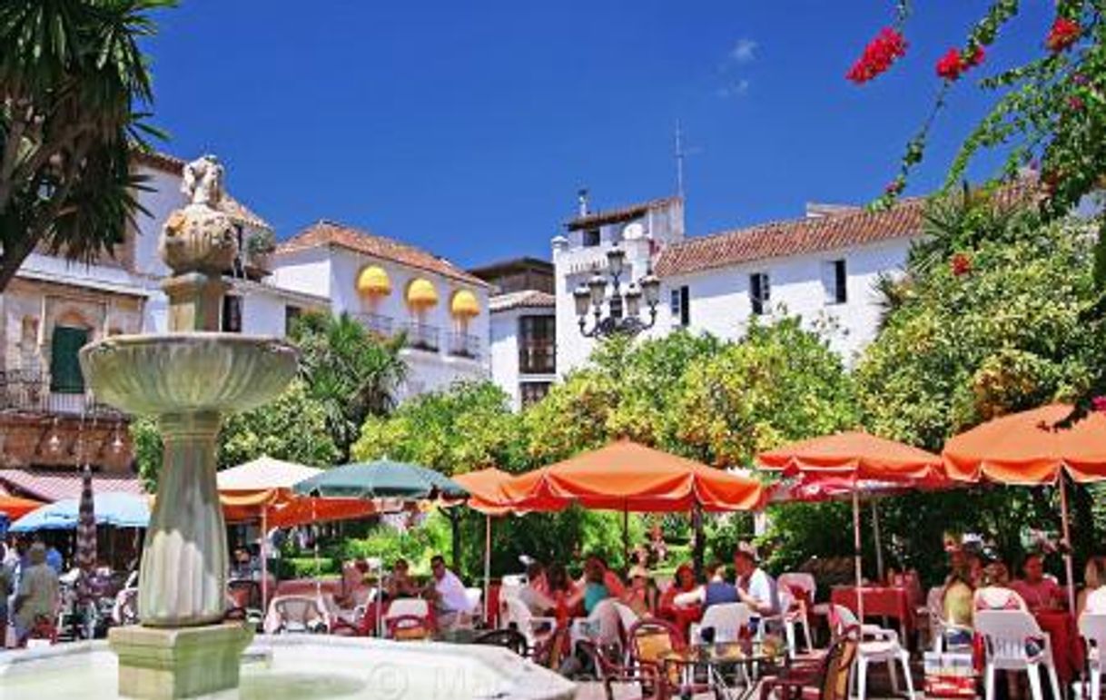 Lugar Plaza de los Naranjos