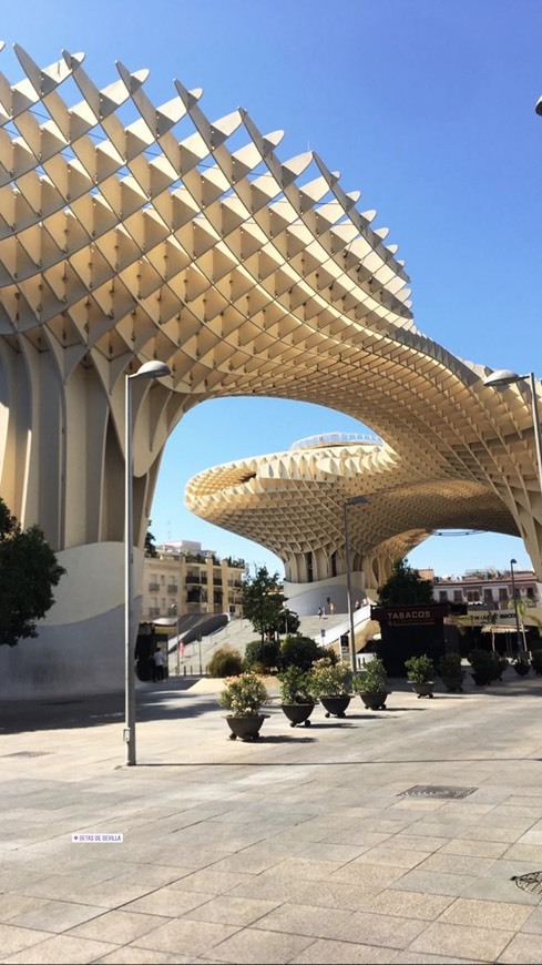 Lugar Setas de Sevilla