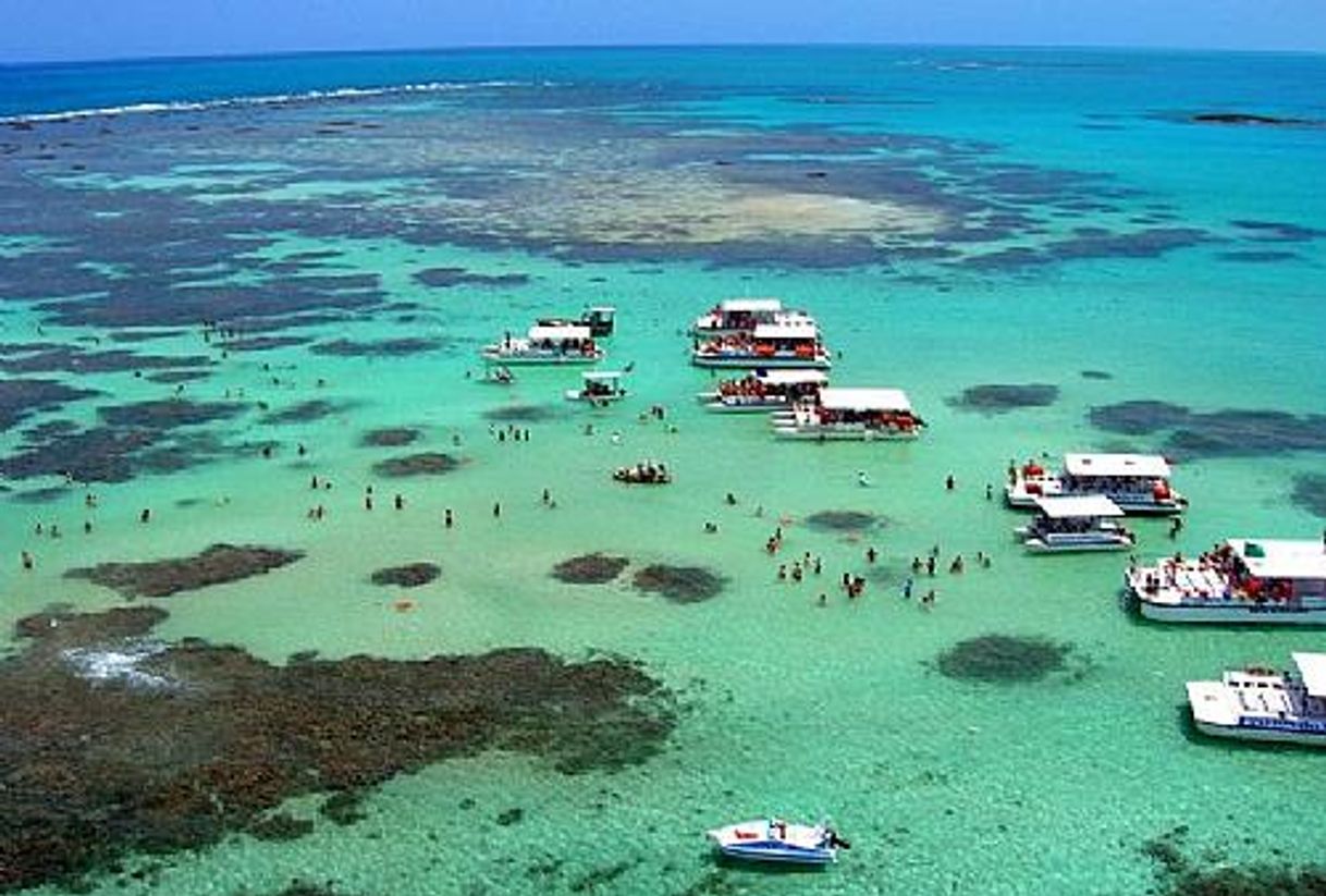 Lugar Praia de Maragogi