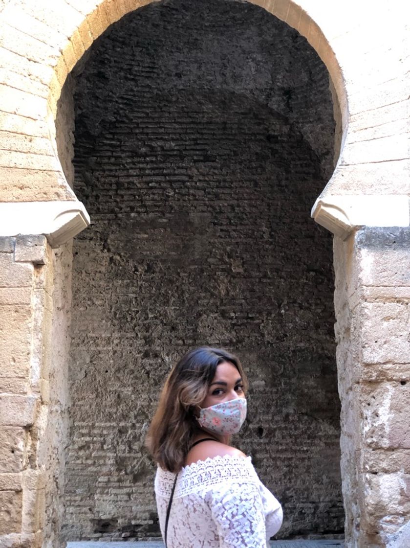 Lugar Alcázar de Jerez de la Frontera