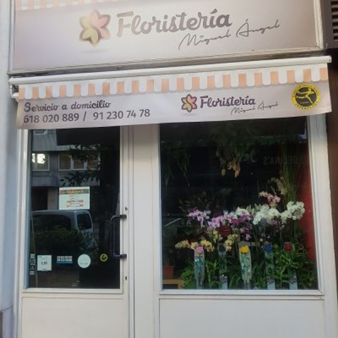 Place Floristería Miguel Ángel