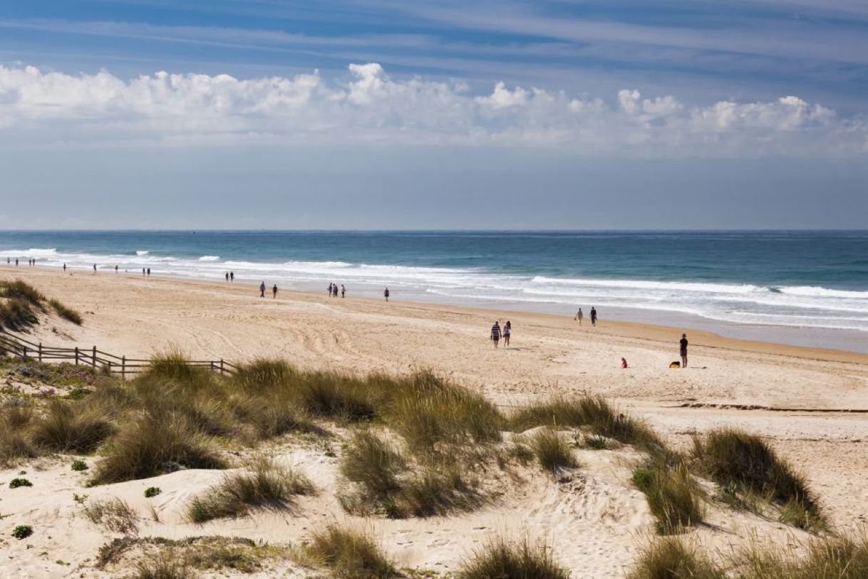 Place Playa de la Barrosa