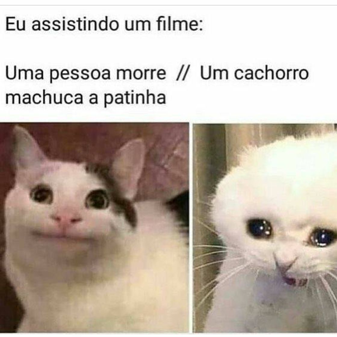 Fashion Memes br