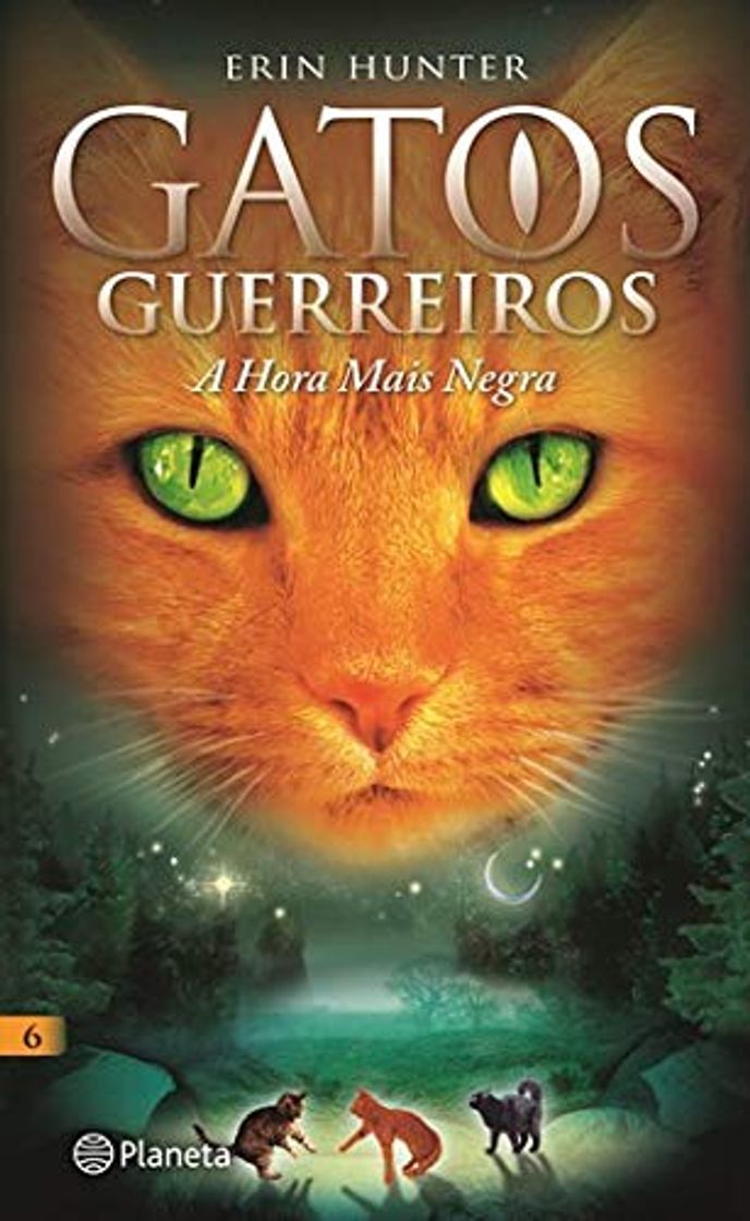 Book Gatos Guerreiros N.º 6