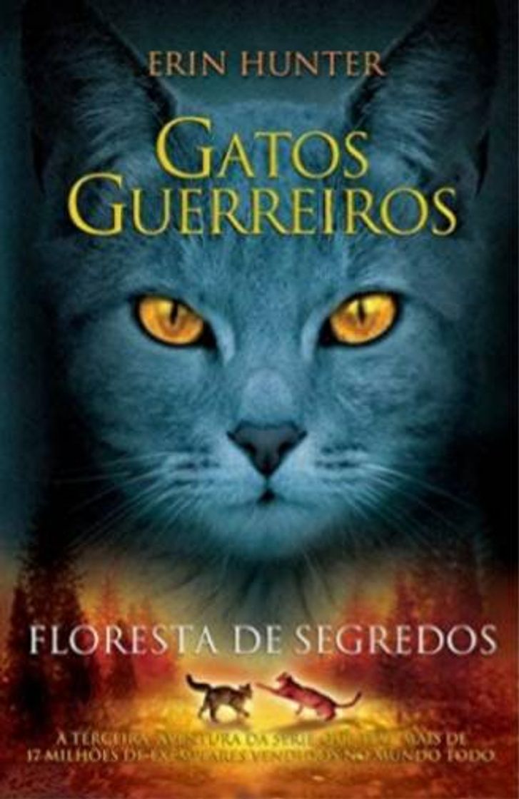 Book Gatos Guerreiros - Floresta de segredos: 3