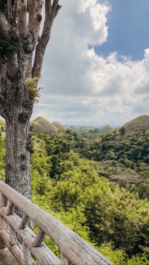 Lugar Chocolate Hills