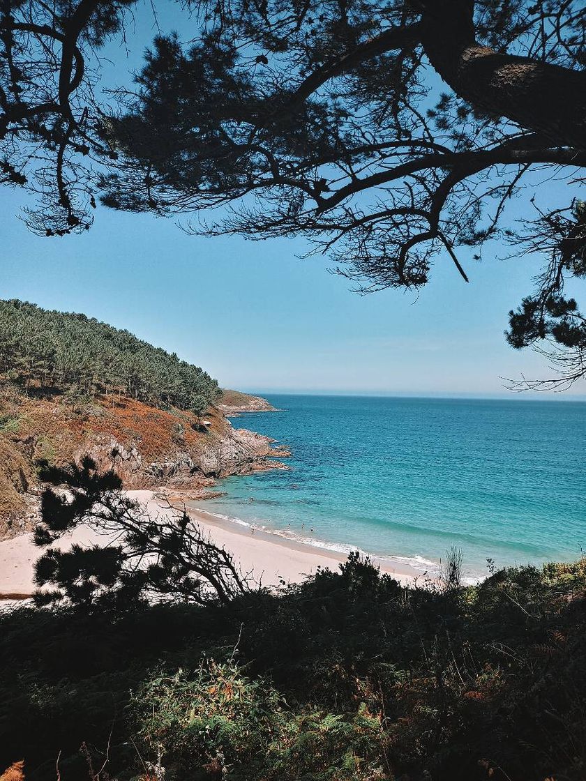 Lugar Playa de San Pedro