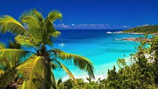 Social The Bahamas Travel Advisory