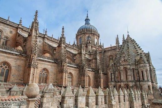 Catedral vieja Salamanca