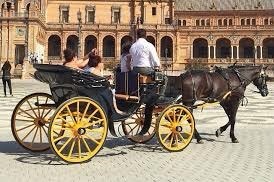 Lugares Paseo en carruaje 🐎