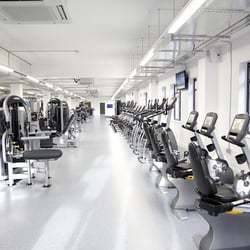 Lugar The Gym - Kingston