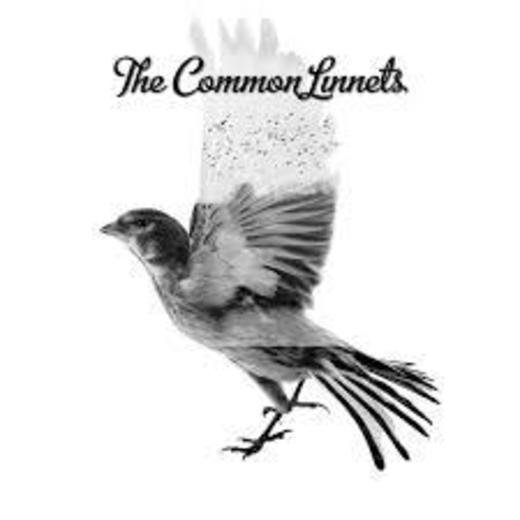 The Common Linnets - YouTube