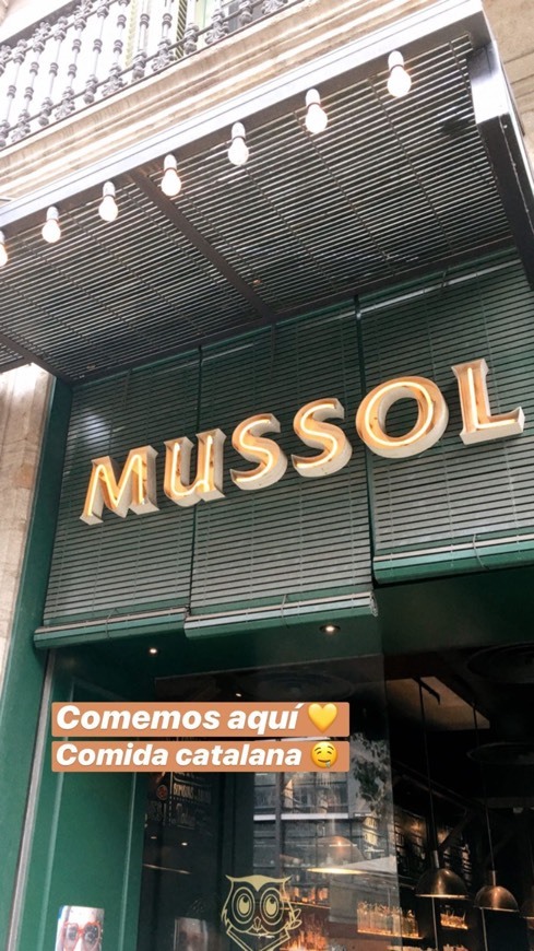 Restaurantes Mussol Pedralbes