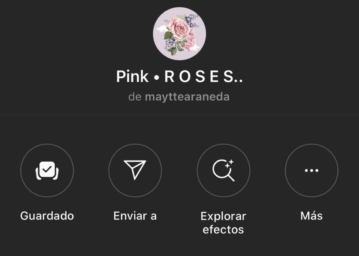 Fashion FILTRO PINK •ROSES•