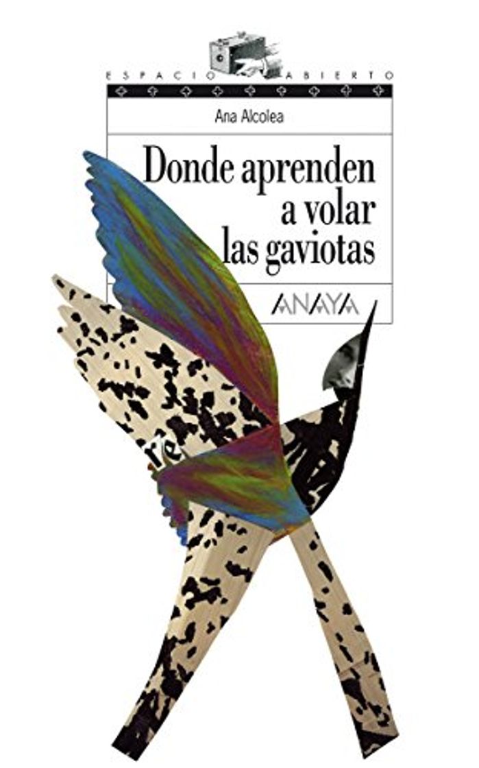 Libros Donde aprenden a volar las gaviotas