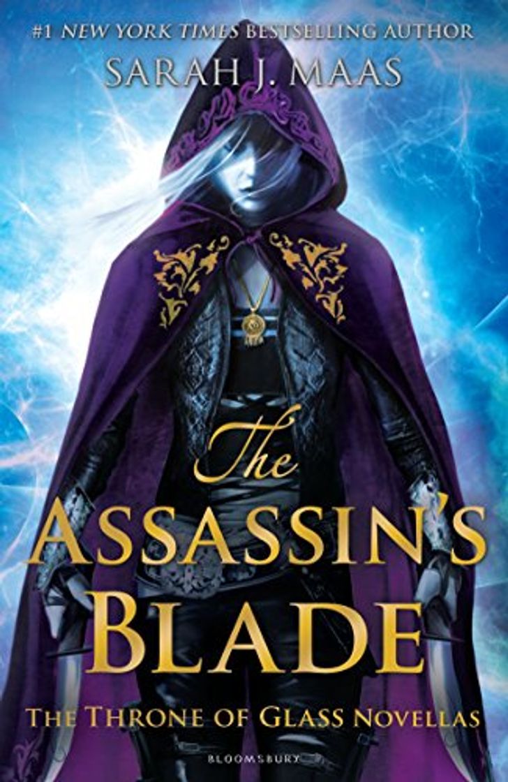 Book The Assassin's Blade: The Throne of Glass Novellas