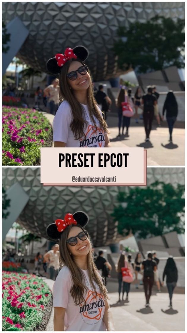 Fashion Preset Epcot