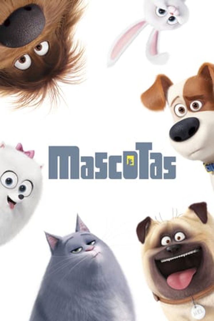 Película Mascotas