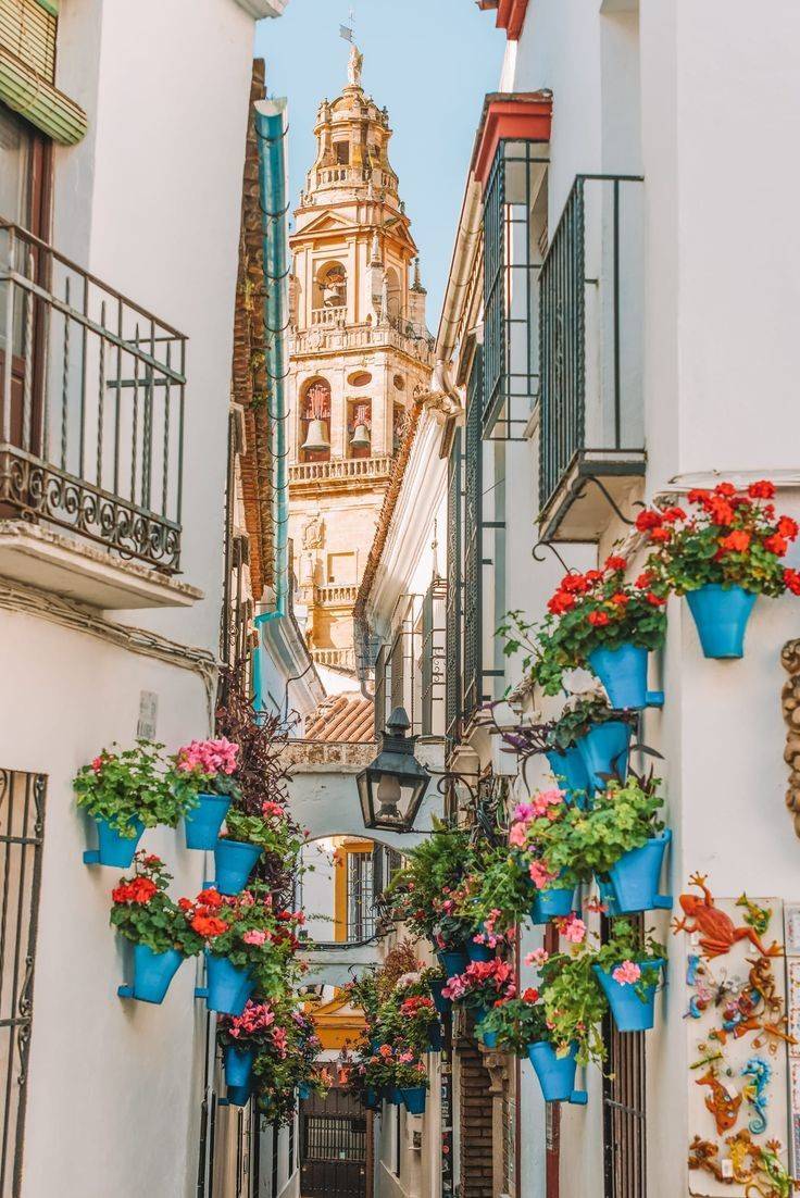 Place Mezquita-Catedral de Córdoba