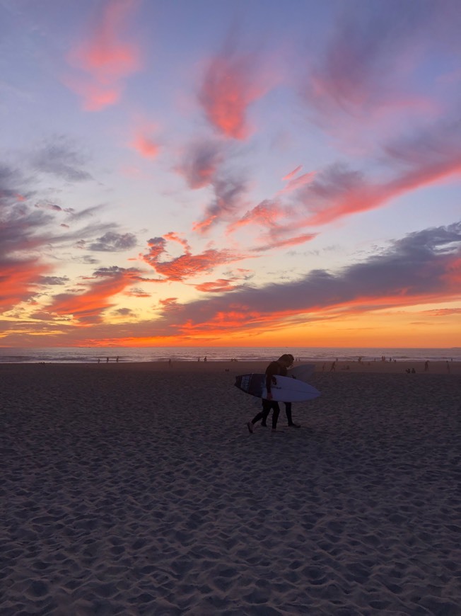 Place Ocean Beach