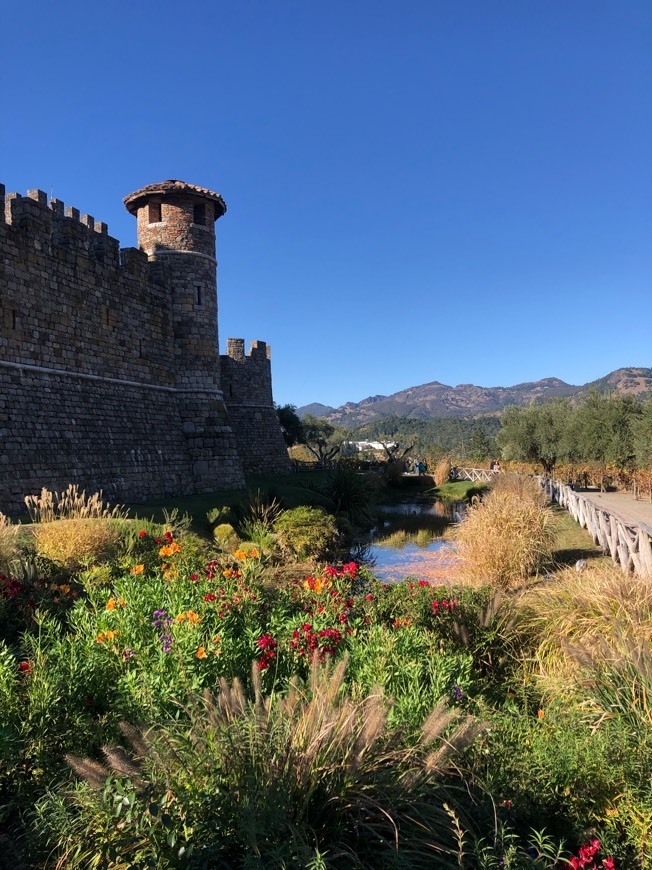 Lugar Castello di Amorosa