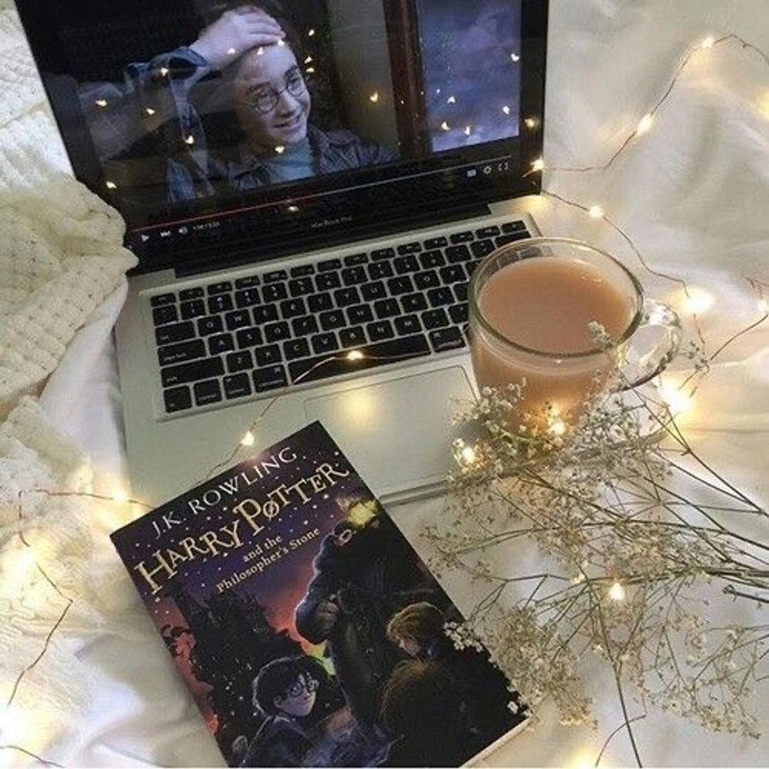 Social ⱽᴵᴮᴱˢ