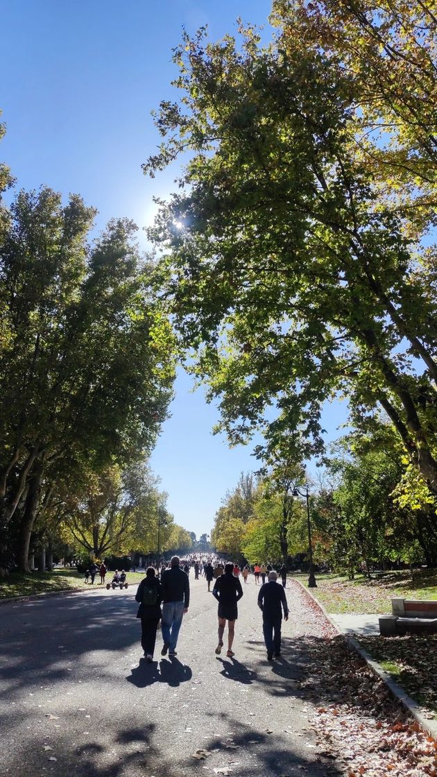 Place Parque de El Retiro