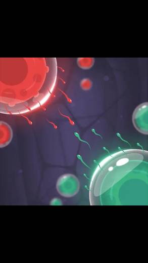 Cell expansion war