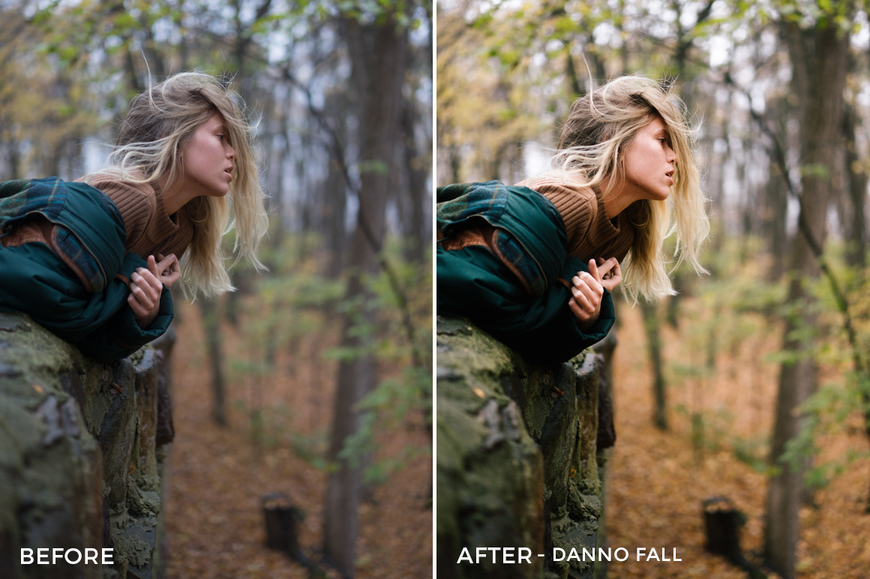 PRESETS Lightroom