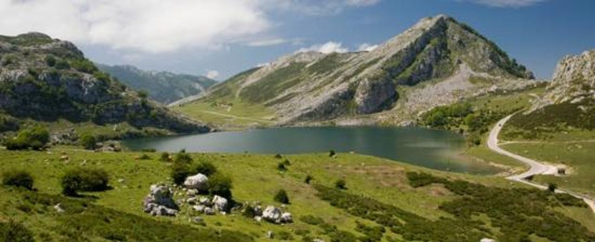 Place Picos de Europa