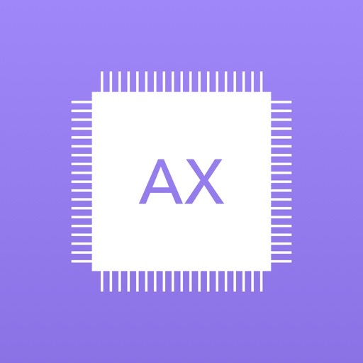 AX-CPU