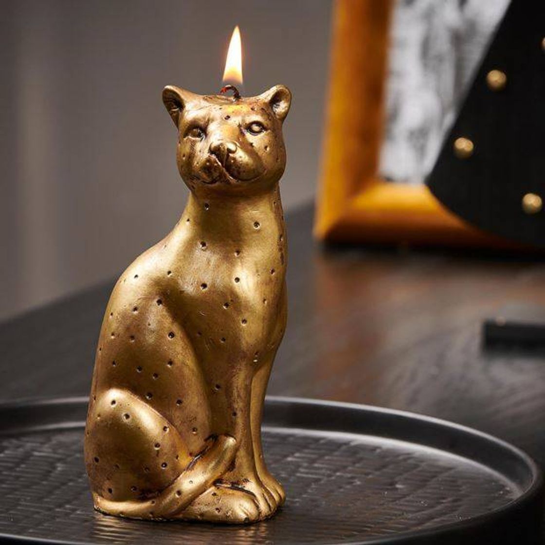 Social Vela decoración