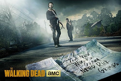 Productos Grupo Erik Editores The Walking Dead Rick & Daryl Ro Poster