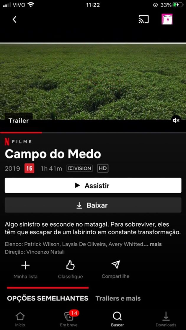 Película In the Tall Grass | Netflix Official Site