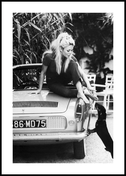 Product Brigitte Bardot