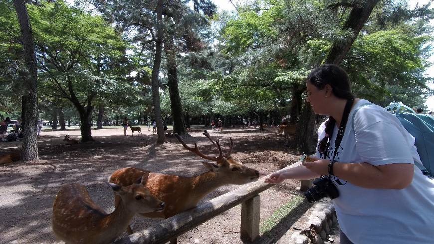 Place Nara Park