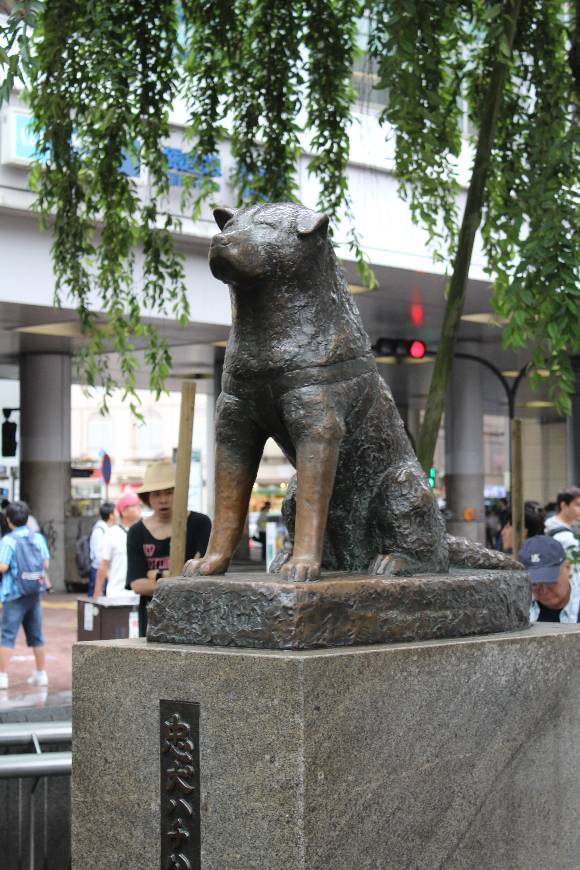 Place Hachikō