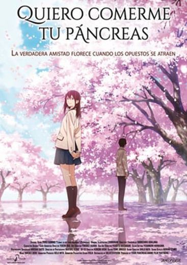 I Want to Eat Your Pancreas