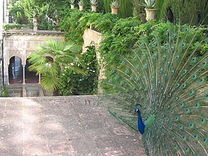 Place Carmen de los Mártires
