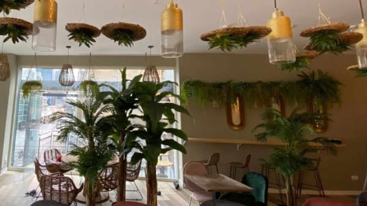 Restaurants Selvático