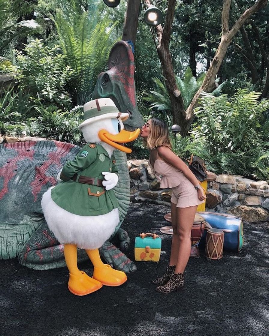Social inspiração da disney 