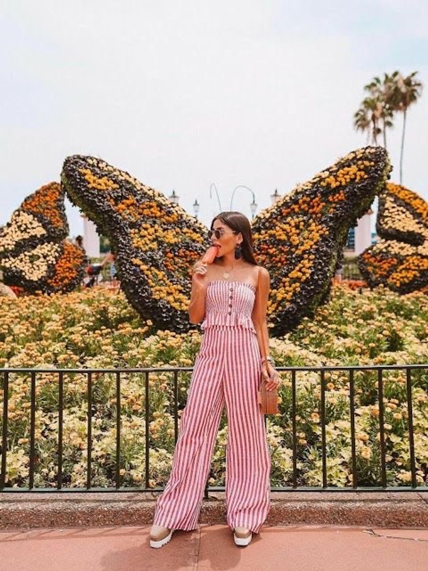 Social 🦋