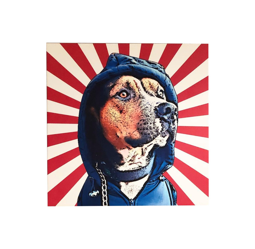 Social Cuadro personalizado Animal Studio