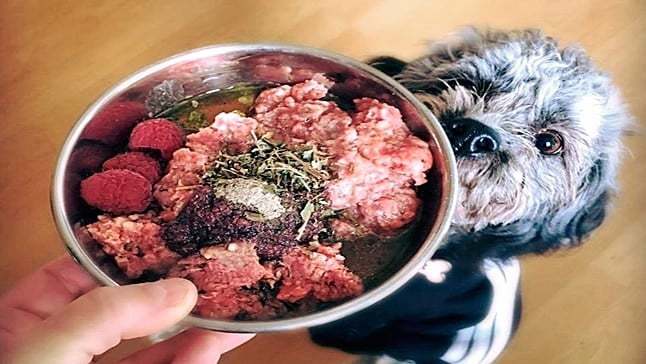 Producto Alimento para perros natural de ternera