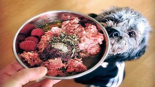 Alimento para perros natural de ternera