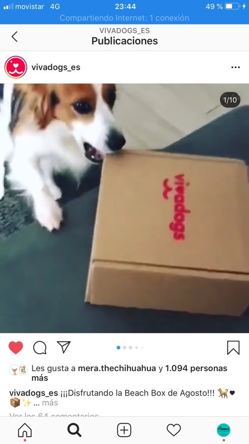 Producto Caja mensual Vivadogs