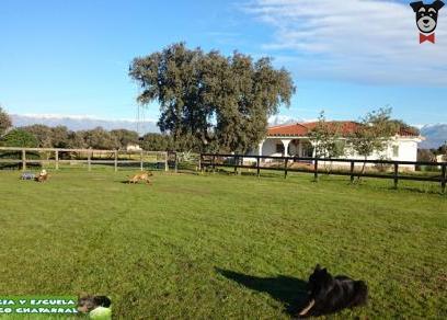 Lugar Residencia y Escuela Canina Pico Chaparral