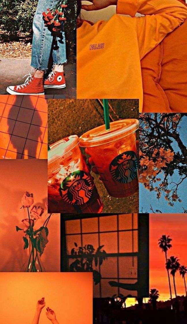 Fashion orange